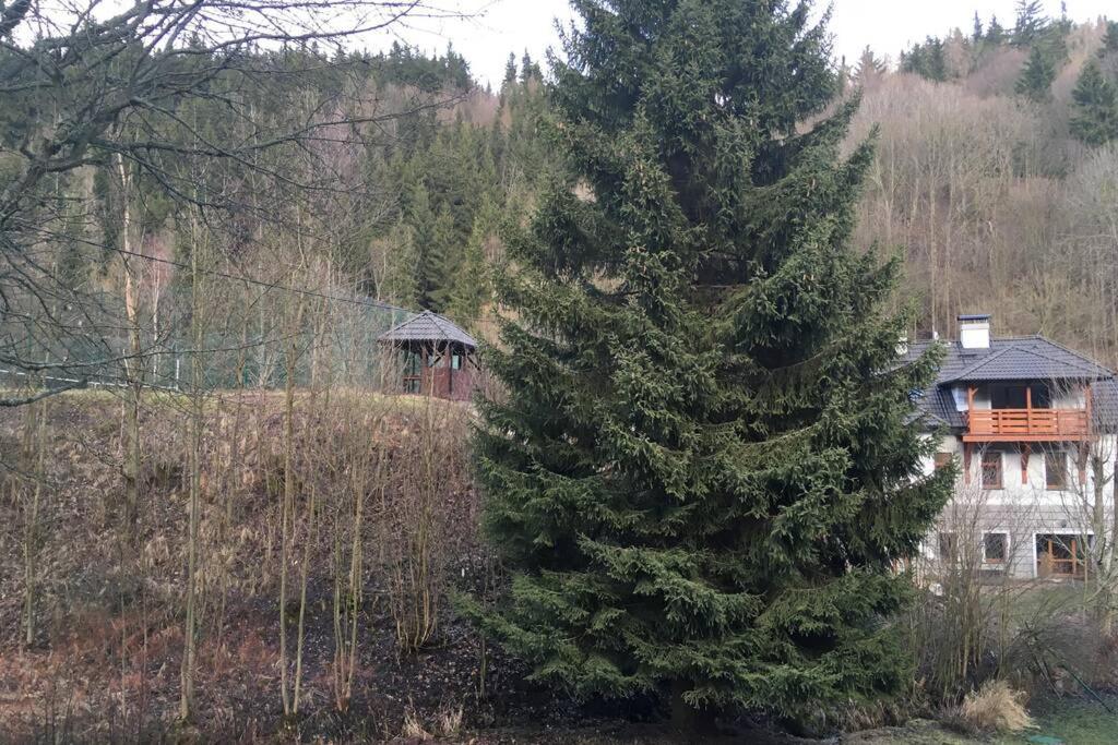 Villa Vykmanov Medenec Esterno foto